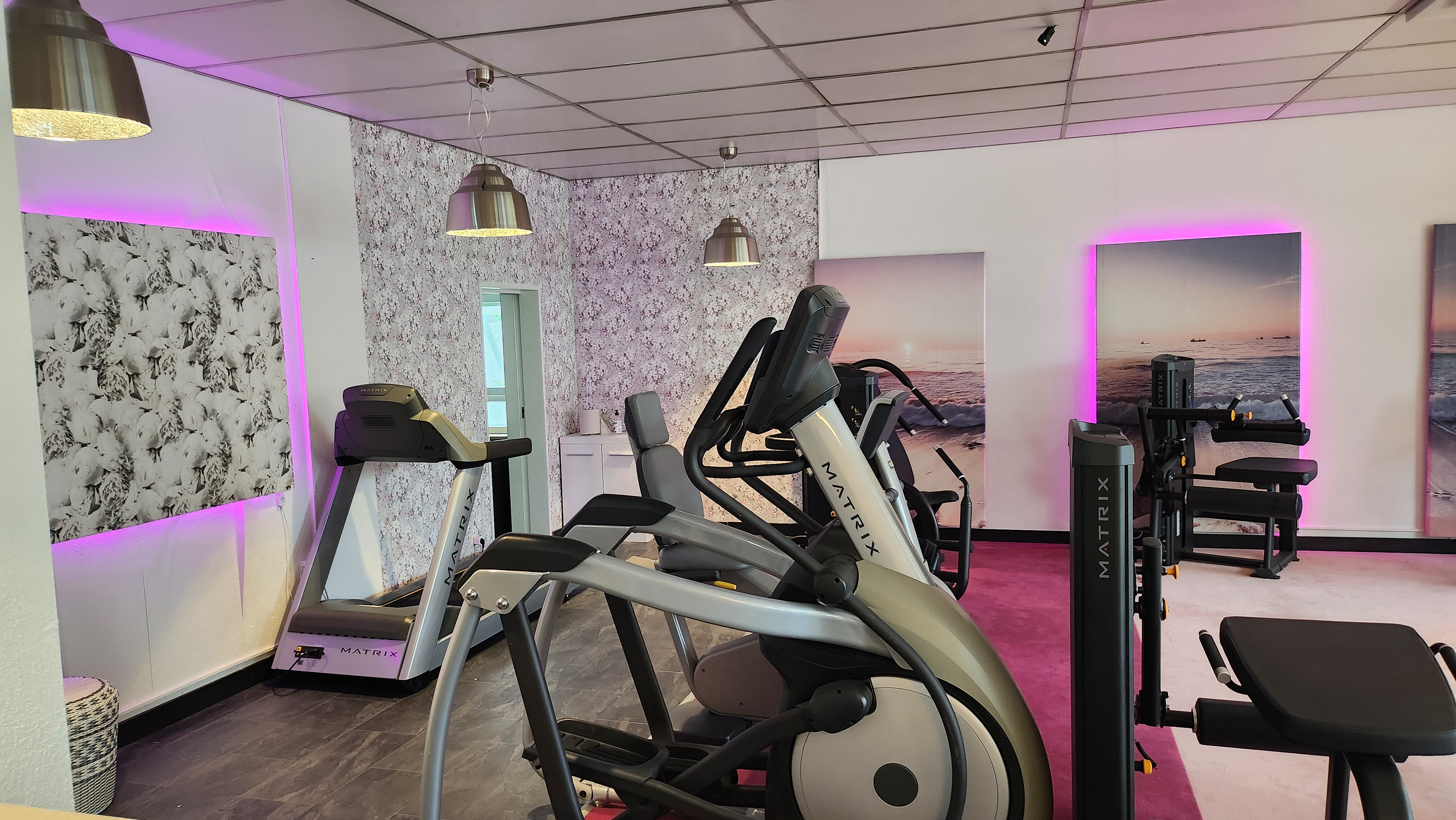 Cardiogeräte  im Fitnessstudio Sinzheim